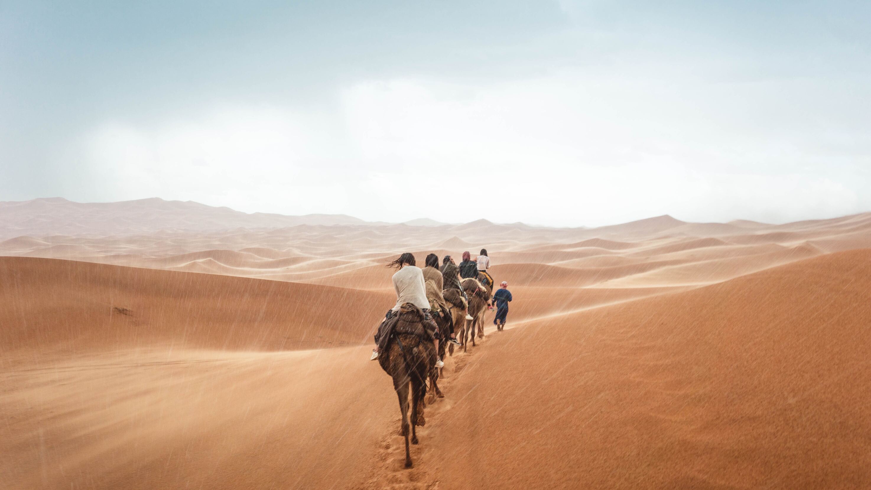 Camel riding 