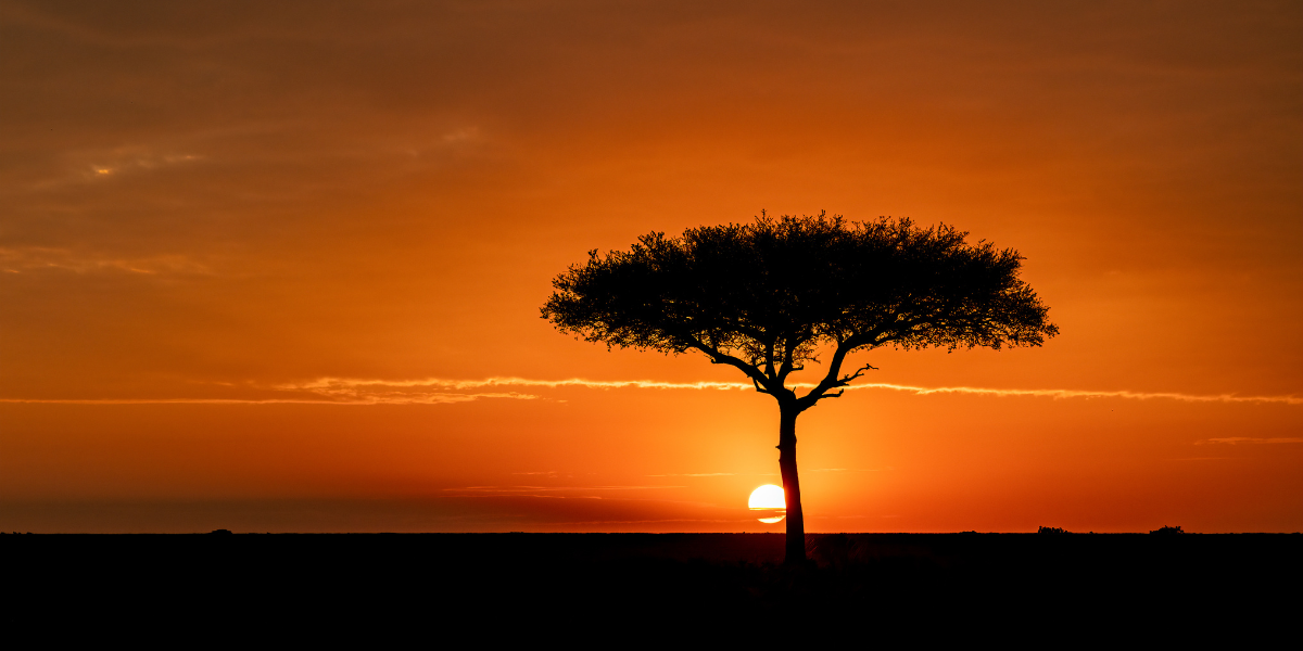 Creating memorable moments is the best way to motivate employees