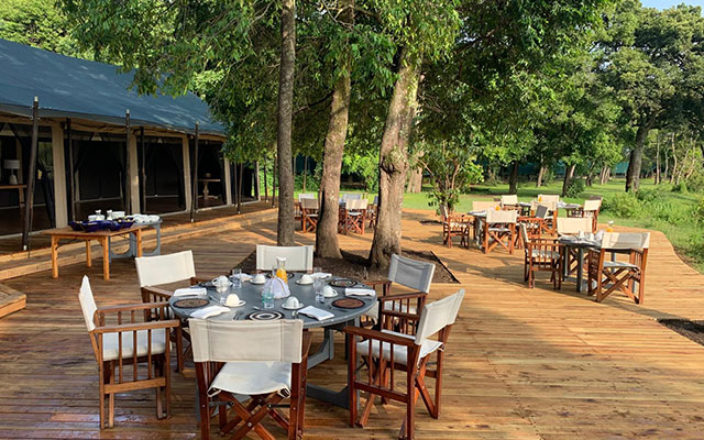 Kenya: Exclusive safari incentive with unforgettable moments